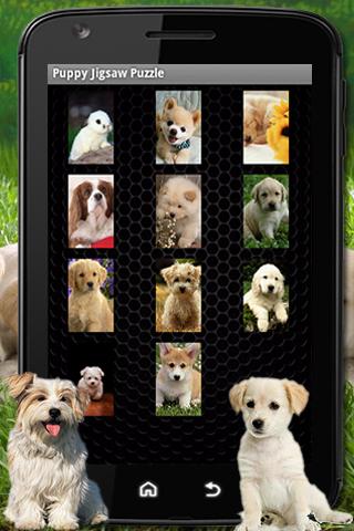 【免費解謎App】Puppy Jigsaw Puzzle-APP點子