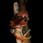 Collett's Tree Frog