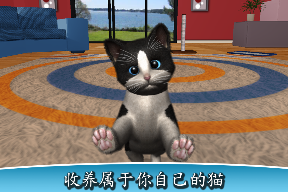 Android application Daily Kitten : virtual cat pet screenshort