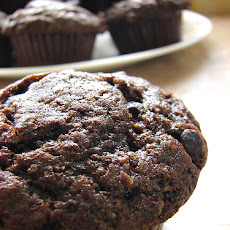 Fat Free Chocolate Muffins