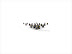ws_a_lot_of_penguins_1600x1200.jpg