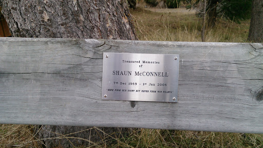 Shaun McConnell Memorial 