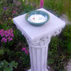 The Best Greek Yoghurt