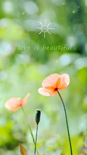How to install Spring Flower Live Wallpaper patch 1.3.5 apk for laptop