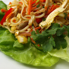 Asian Turkey Salad Lettuce Wraps