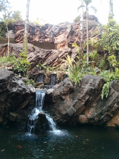 Waterfall at CSC
