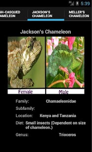 How to download Chameleons 3 mod apk for pc