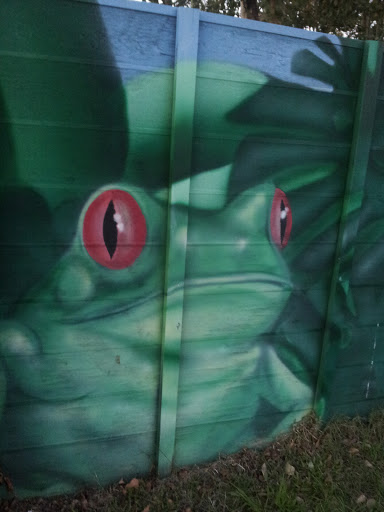 Bug Eyed Frog