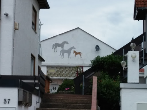 Horse Graffiti 