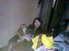 Hermosa Bassedhound Busk Novio Lindo