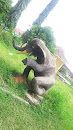 Gajah Duduk