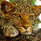 IMG_8198 copy.jpg