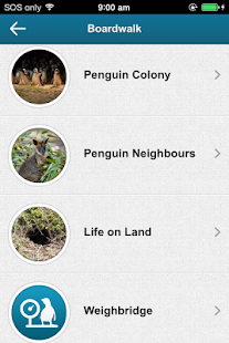 How to mod Penguin Parade Phillip Island 1.9 apk for android