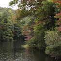 Hidden Lake