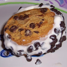 Homemade Ice Cream Sandwiches