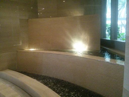 Carlton Hotel Water Feature