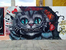 Street Art Cat