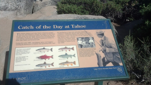 Catch of the Day at Tahoe