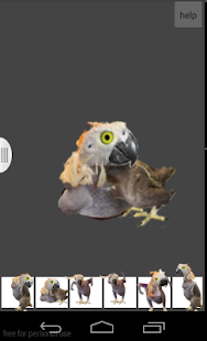 How to mod Parrot lastet apk for android