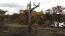 Boab Tree Sculpture