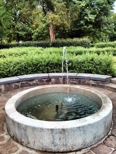 Brunnen Im Brentanopark