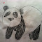 robo panda