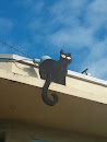 Black Roof Cat