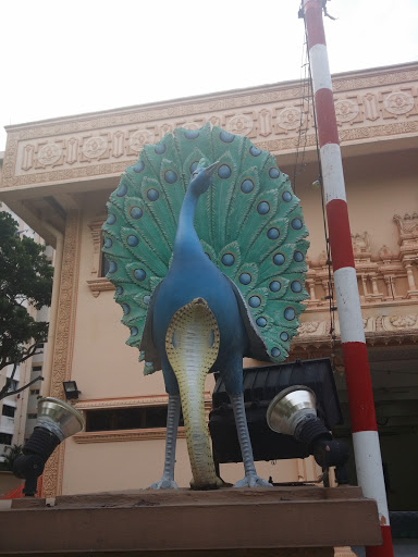 Peacock with Albino Cobra