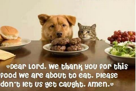 Dear Lord. we thank you por this ood we are about to eat. please don t leb US get caught. Amen.»
