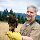 Dennis Davenport