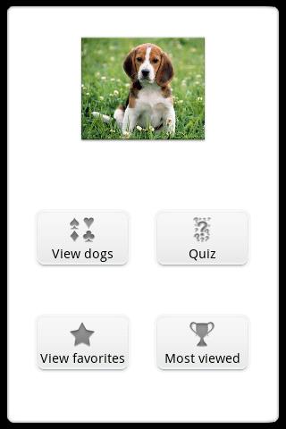 dog-cards for android screenshot