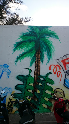 Coconut Palm Mural