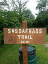 Sassafrass Trail 
