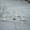 tundra swan
