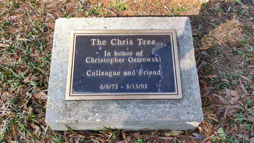 The Chris Tree