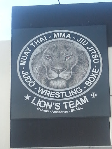 Lion's Team