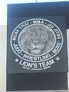 Lion's Team