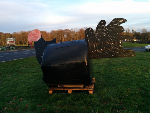 Rhug Estate Farm Hen 