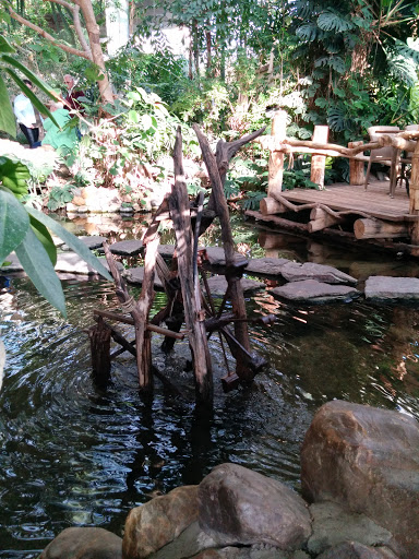 Water Wheel at Center Parcs