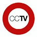 Combo Cctv 2 Camaras Vigilancia Bn  Monitor