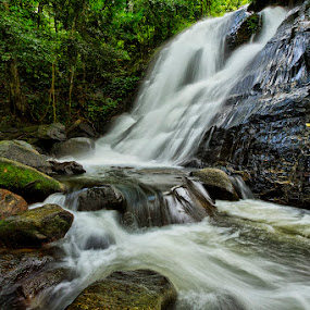 The Waterfall by Charliemagne Unggay - Landscapes Waterscapes ( nature, waterscape, waterfall, trees, rocks )
