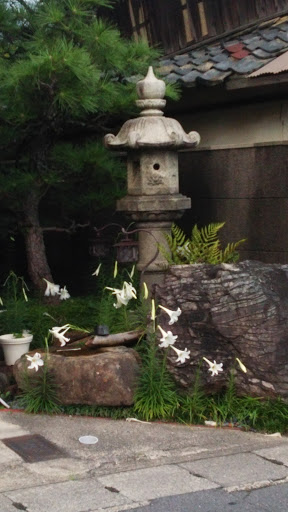 隙間の日本庭園