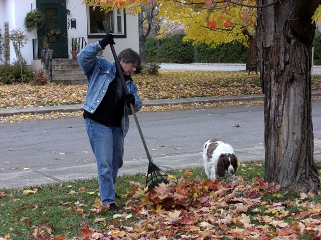 [buckinghamgailrakingleaves23.jpg]