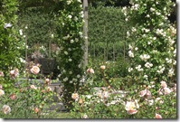 alnwick garden rose bower