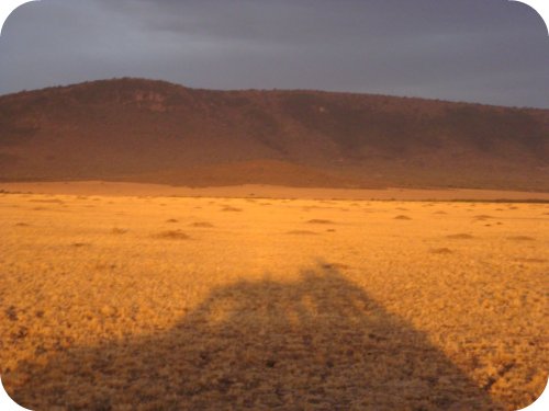 land rover shadow masai mara