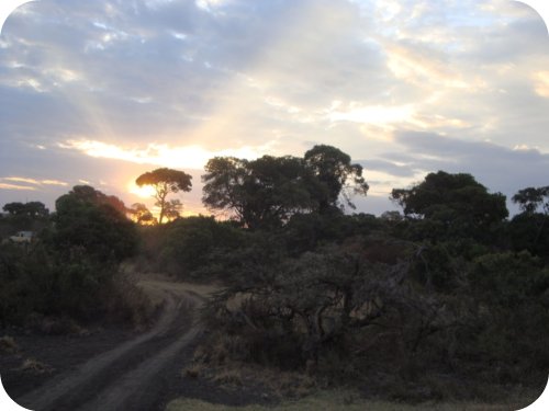 road in masai mara
