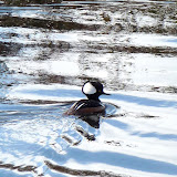  &ndash; Today on the Lake March 4 2010