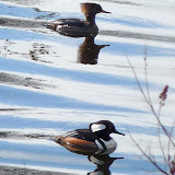  &ndash; Today on the Lake March 4 2010