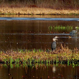  &ndash; Today on the Lake March 5 2010
