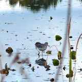  &ndash; Today on the Lake Oct 30 2009
